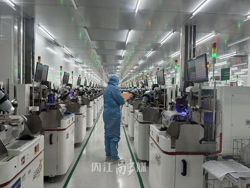 數字見證甜城內江 年產60億只產品，年入4億，營商環境為企業注入澎湃動能