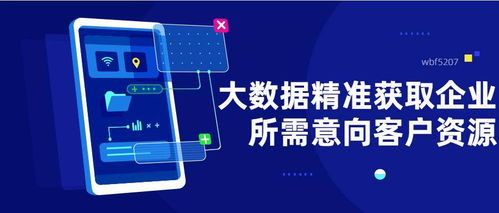 大數據精準營銷 破解飛蜥等企業起步獲客難題的利器